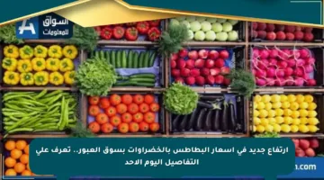 ارتفاع جديد في أسعار البطاطس بالخضراوات بسوق العبور.. تعرف على التفاصيل اليوم الأحد